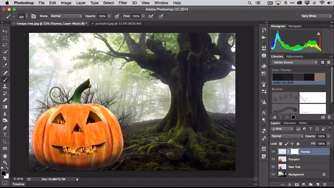 Does Adobe Photoshop have filters?