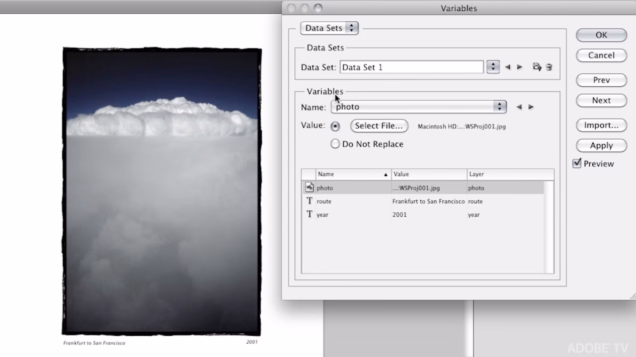 What is a data set in Photoshop?
