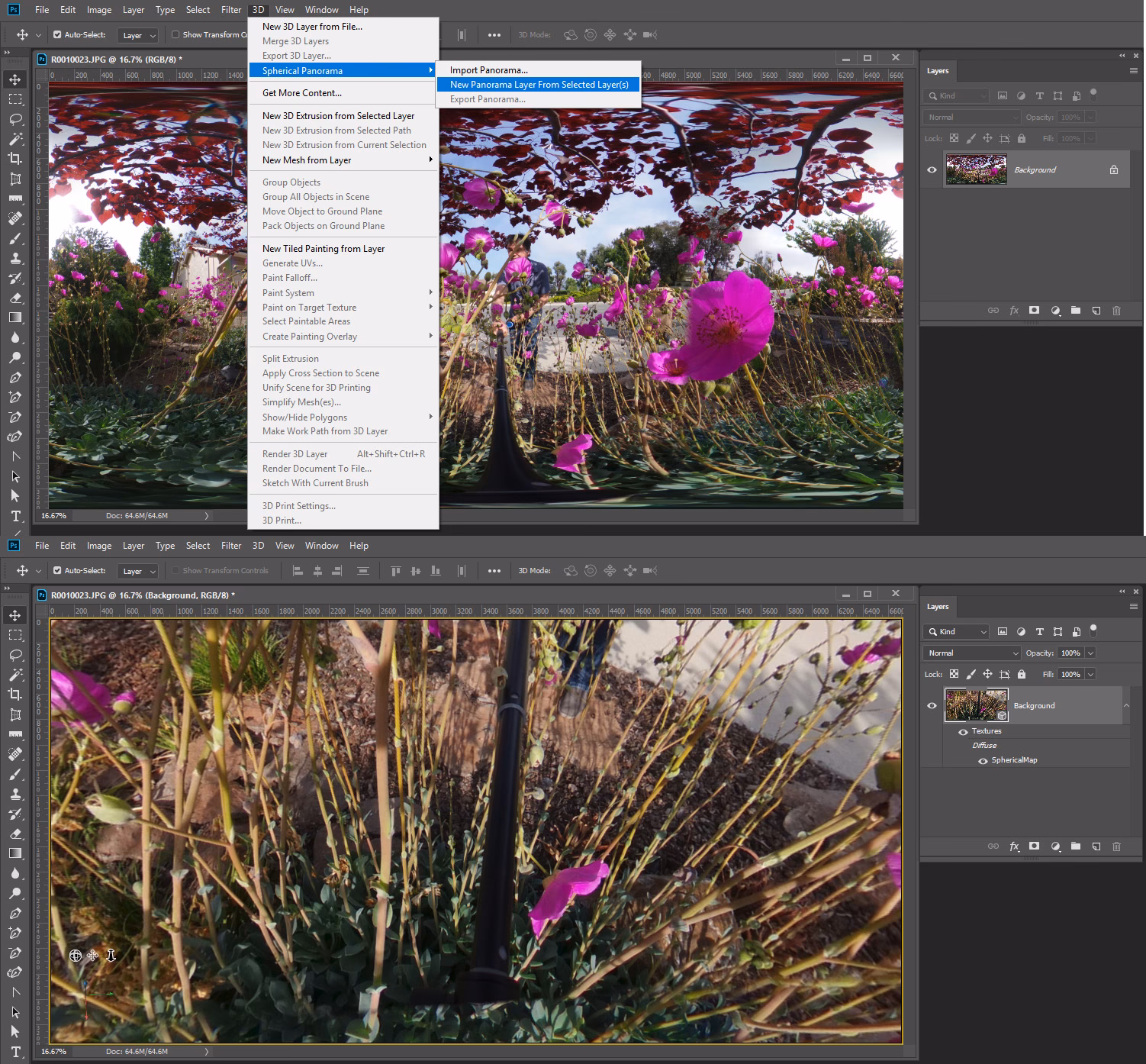 Can Photoshop use DNG files?