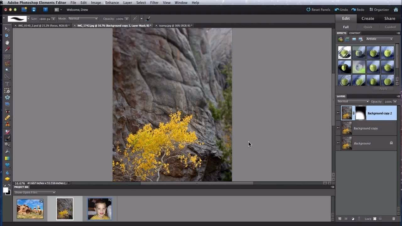 What year did Photoshop Elements 10 come out?