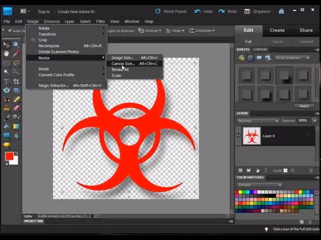 How to remove background in Photoshop Elements 12?