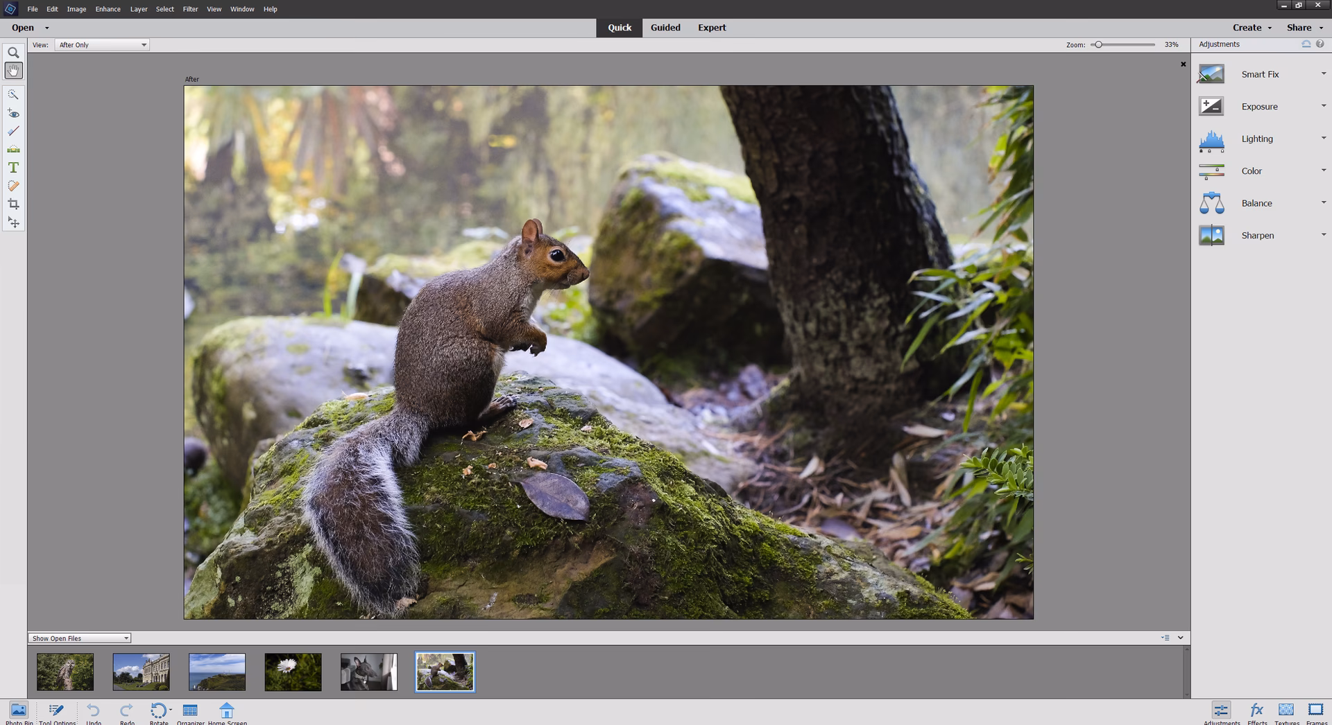 How do I update Photoshop Elements in 2020?
