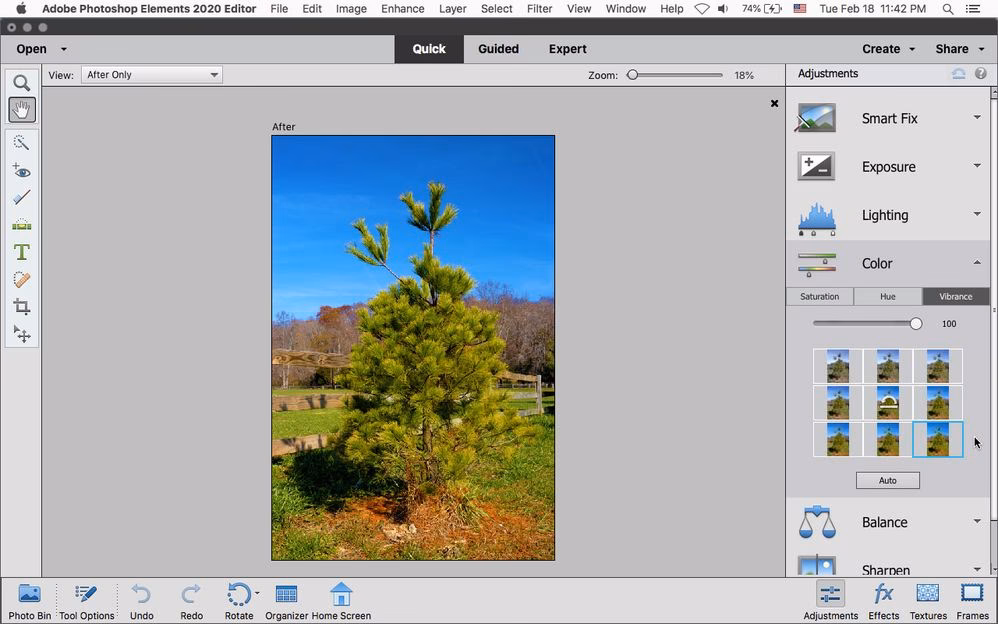 Is it worth upgrading Photoshop Elements?