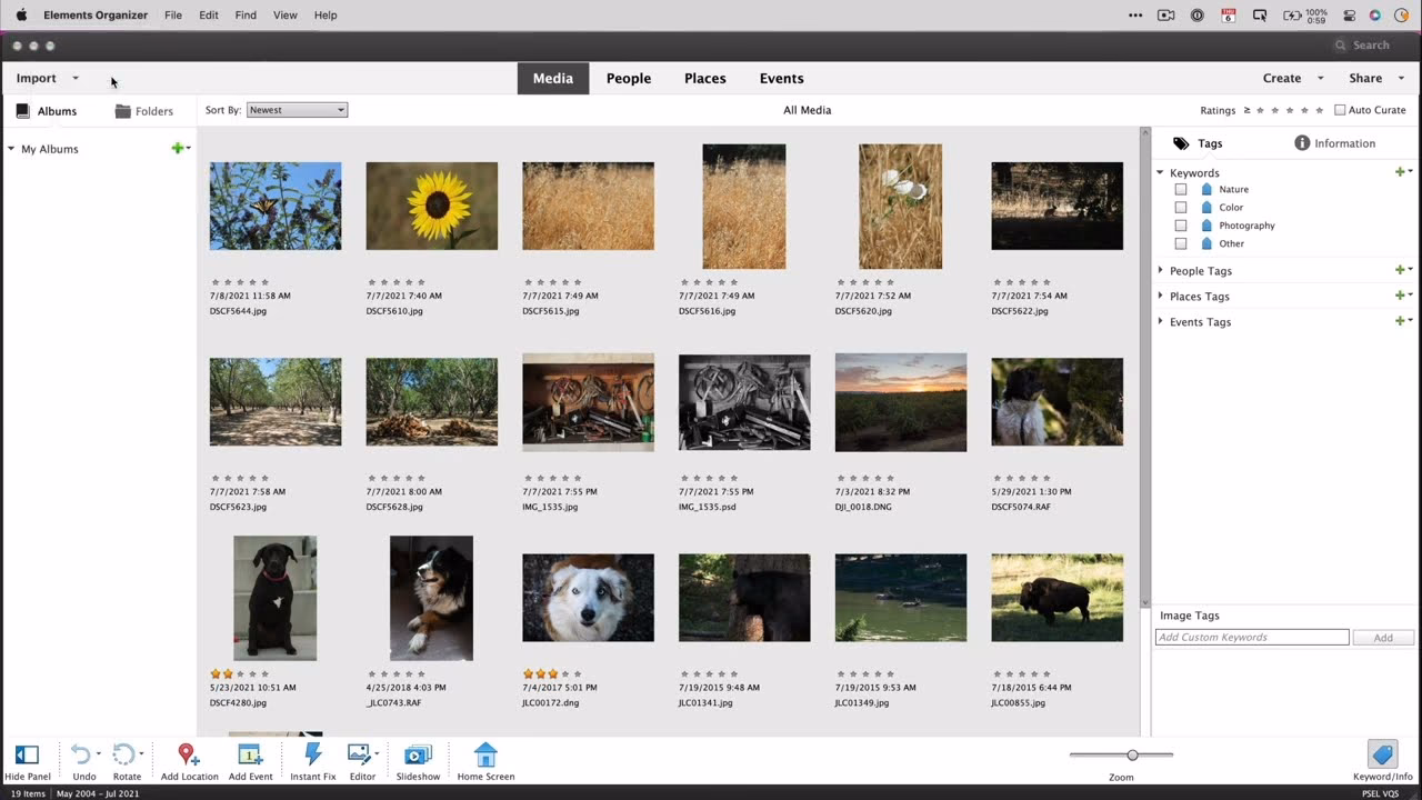 What is Photoshop Elements Organizer?