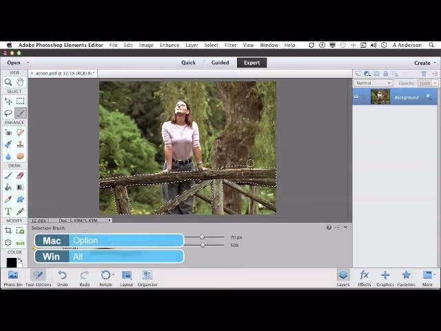 What are the three types of selection tools?