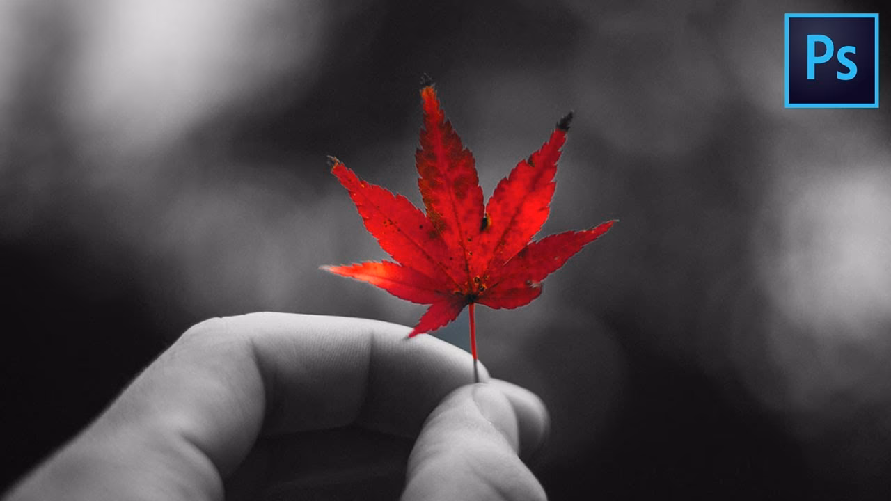 How do you isolate colors in an image?