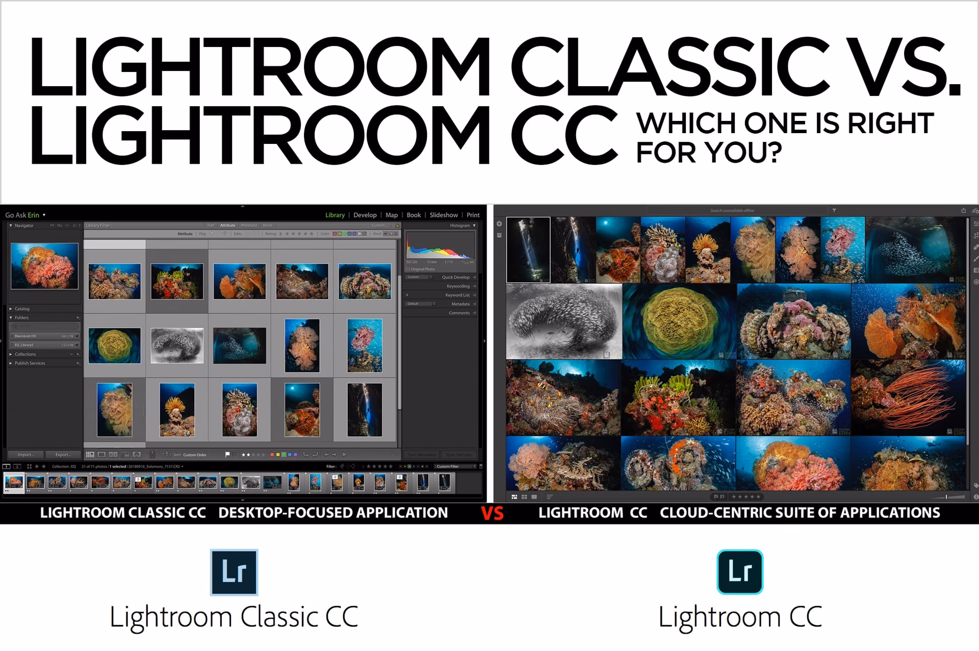 Which version of Lightroom is better?