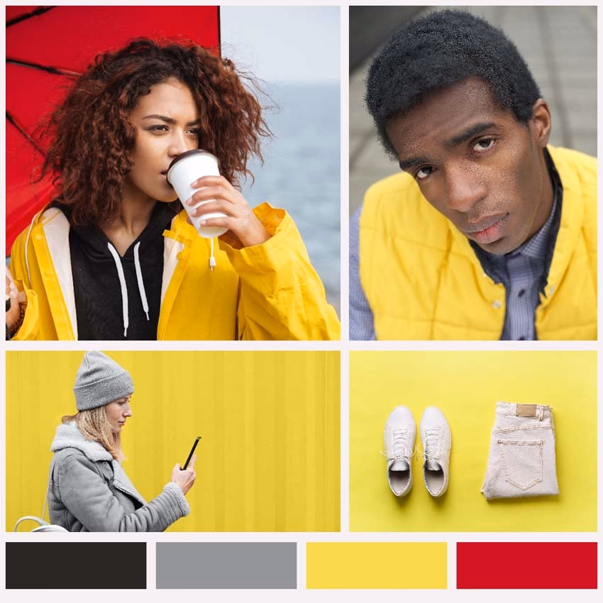 Can you make a mood board in Photoshop?