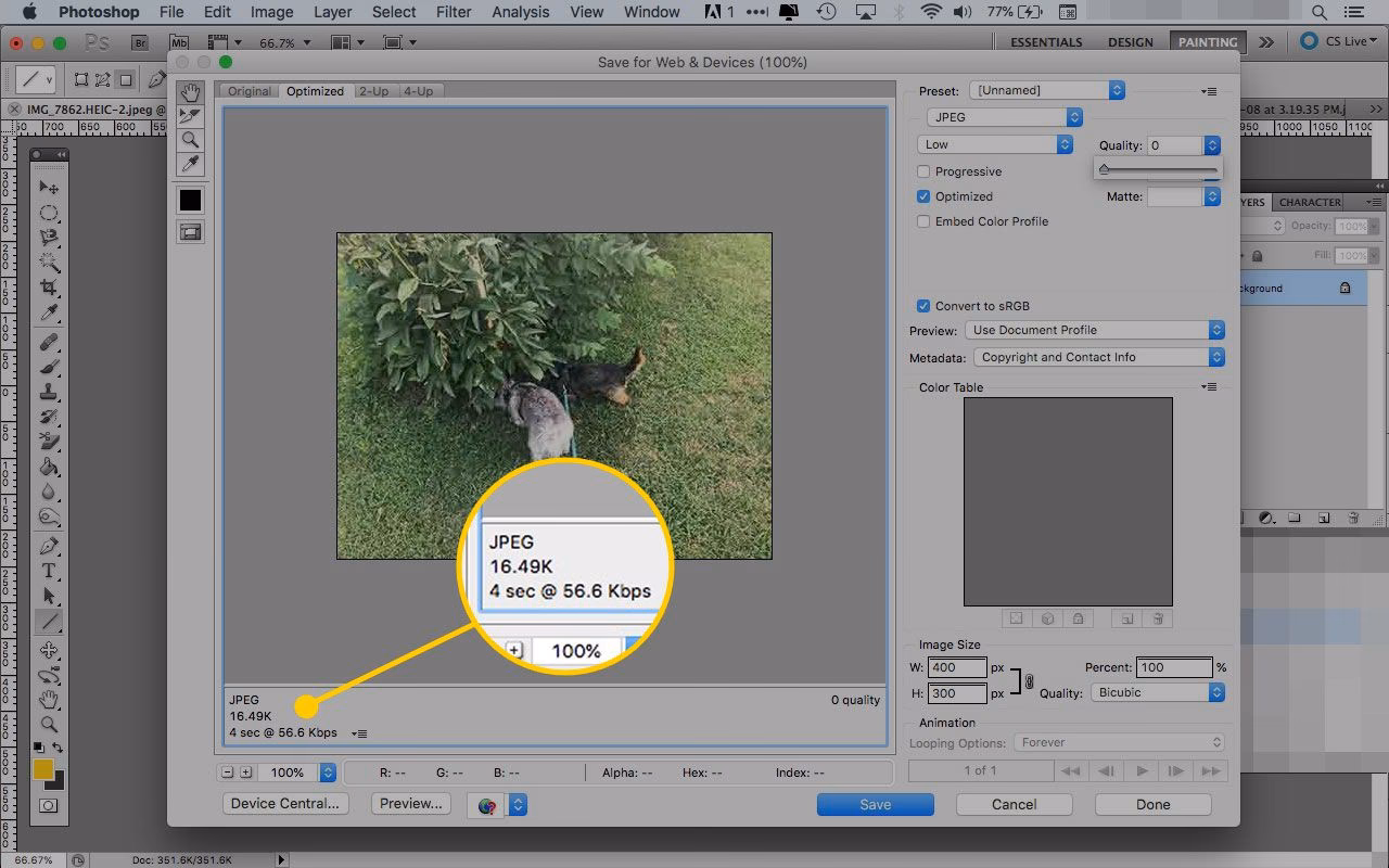 What does optimizing images for web mean?