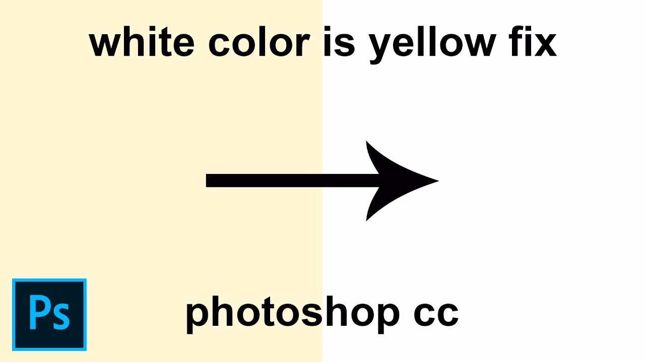 What color cancels out yellow in photos?