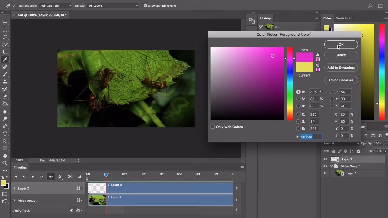 Is rotoscope animation easy?