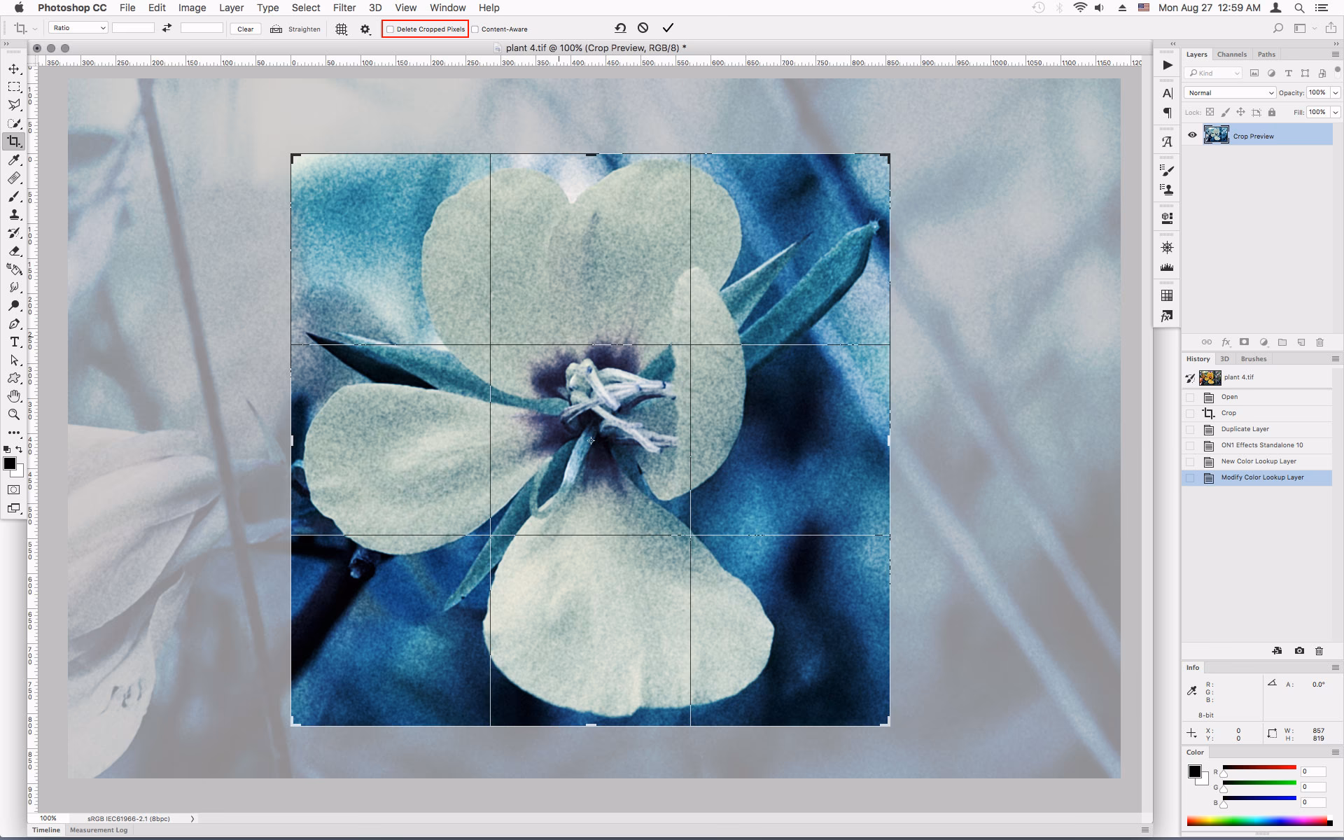 How do I undo crop view?
