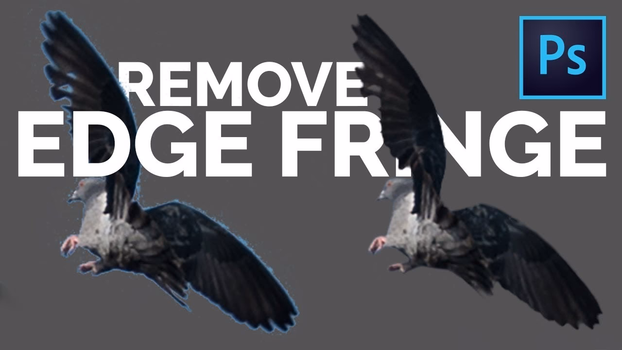 How to get rid of white fringe in Photoshop?