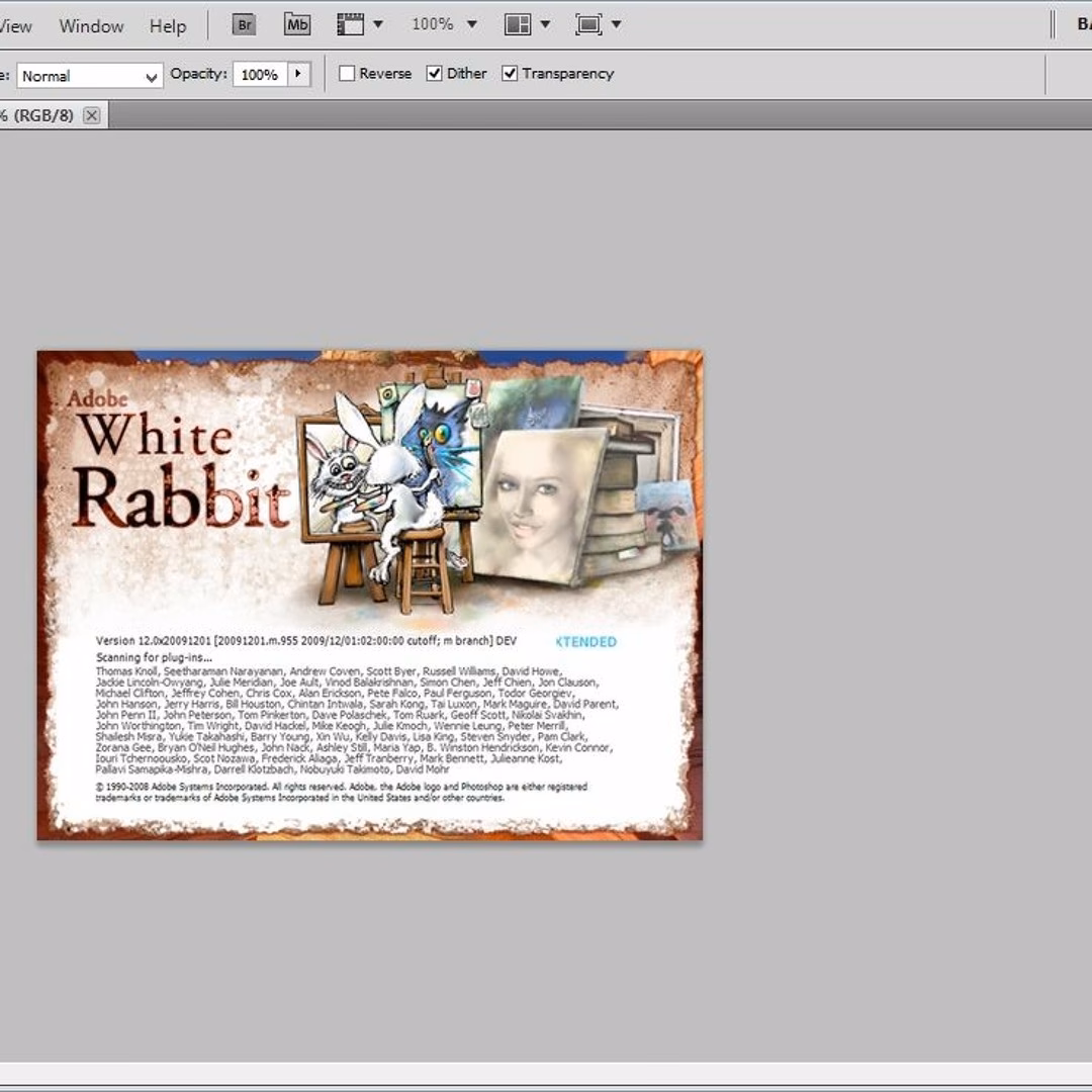 What is Adobe white Rabbit?