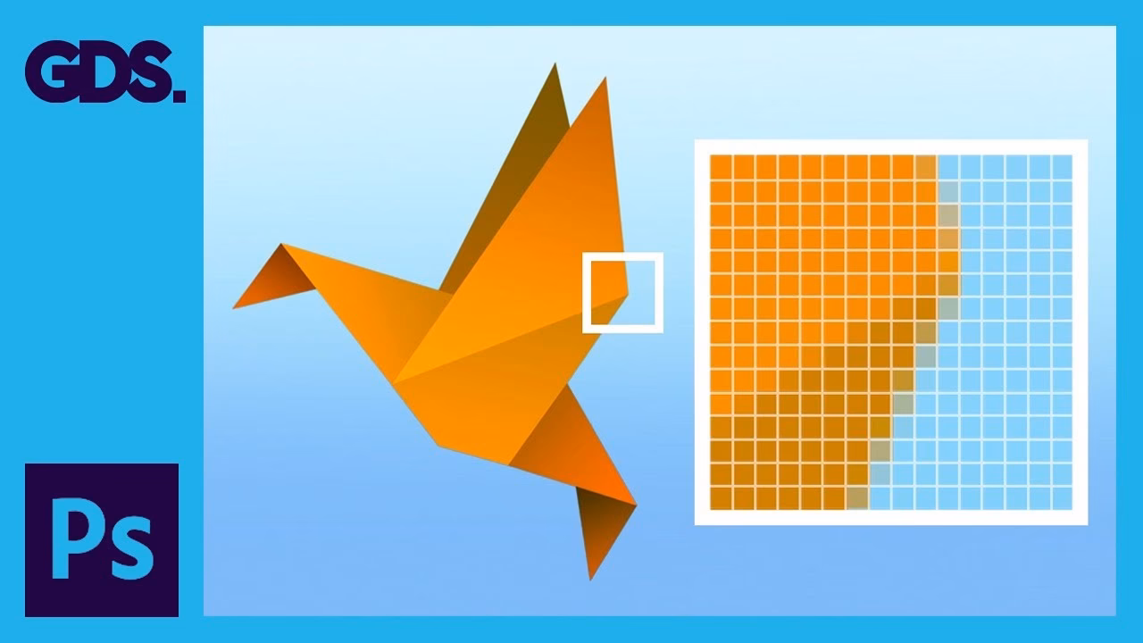 Is a PNG a raster image?