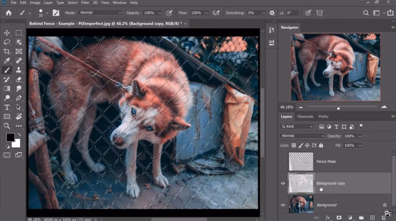 How to remove blurred fence in Photoshop?