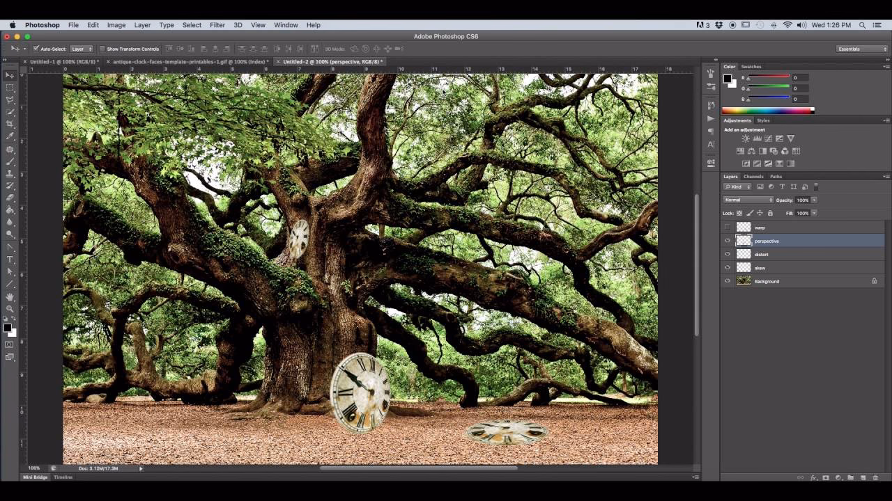 What does the skew tool do?