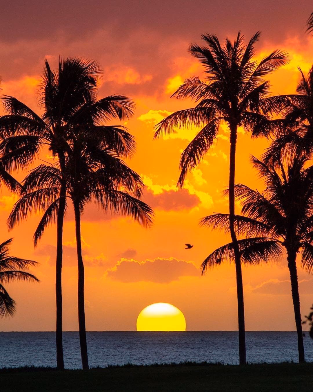 Hvordan tager man billeder af solnedgang?