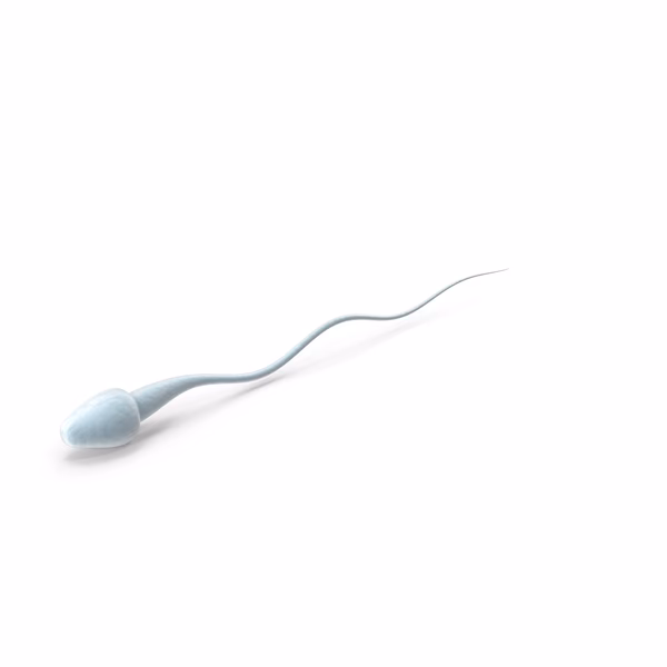 Why is my boyfriend's sperm like jelly?