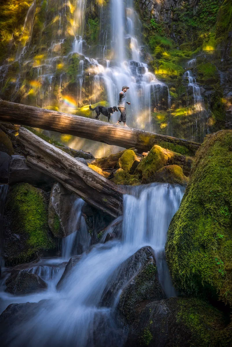 Hvor meget tjener man på at være fotograf?