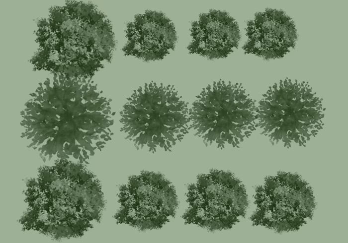 How do I add a tree in a Photoshop plan?