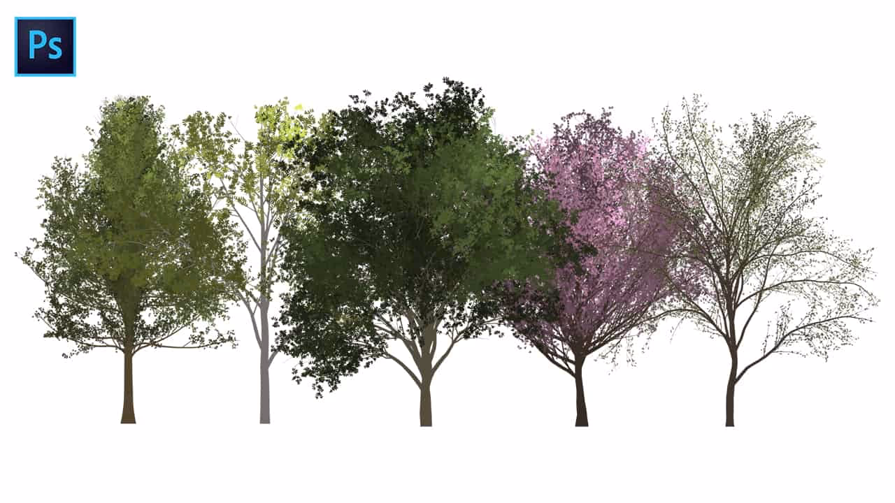 How to make a tree in Photoshop?