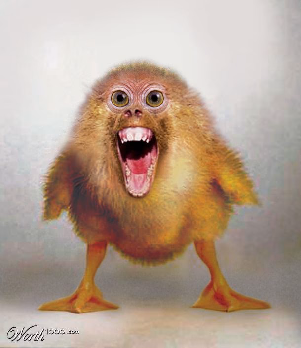 How to detect manipulated images?